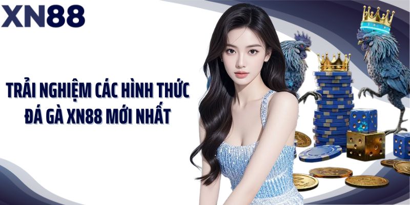 Trải nghiệm các hình thức đá gà XN88 mới nhất